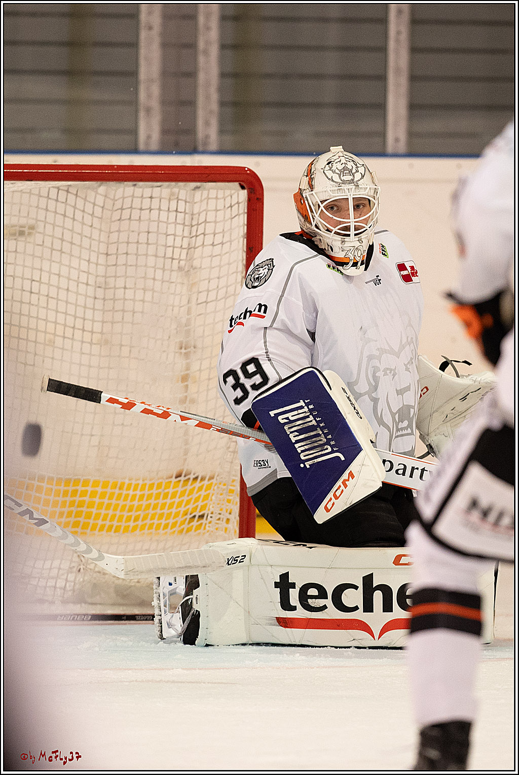 PENNY DEL 1. Testspiel Koelner Haie - Loewen Frankfurt; Koeln, 27.08.2023